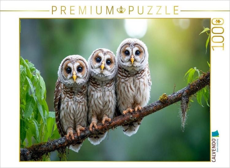 Produktbild: CALVENDO Puzzle Drei kleine K&auml;uzchen auf dem Ast | 1000 Teile Lege-Gr&ouml;&szlig;e 64x48cm Foto-Puzzle f&uuml;r gl&uuml;ckliche Stunden