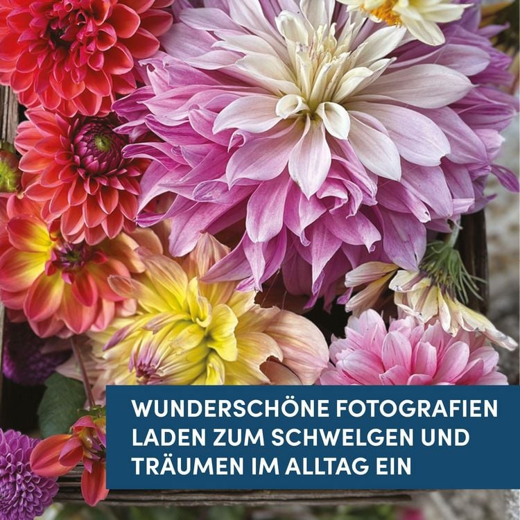 Produktbild: Jeanne d'Arc Living: Buchkalender 2027