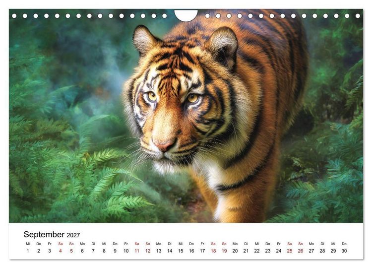 Produktbild: Wild.Edel.Stark. - Im Bann der Tiger (Wandkalender 2027 DIN A4 quer), CALVENDO Monatskalender