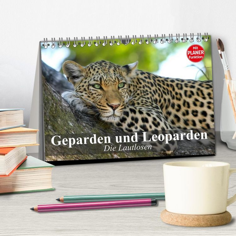 Produktbild: Die Lautlosen. Geparden und Leoparden (Tischkalender 2026 DIN A5 quer), CALVENDO Monatskalender