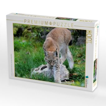 Produktbild: CALVENDO Puzzle Ein Motiv aus dem Kalender Der Luchs - Der J&auml;ger auf leisen Pfoten | 1000 Teile Lege-Gr&ouml;&szlig;e 64x48cm Foto-Puzzle f&uuml;r gl&uuml;ckliche Stunden