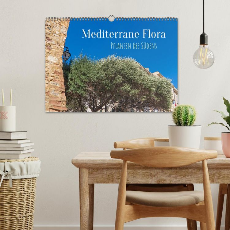 Produktbild: Mediterrane Flora - Pflanzen des S&uuml;dens (Wandkalender 2026 DIN A3 quer), CALVENDO Monatskalender
