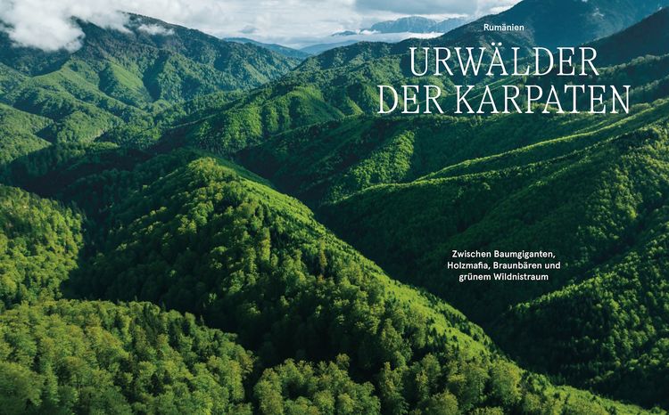 Produktbild: Wildes Europa