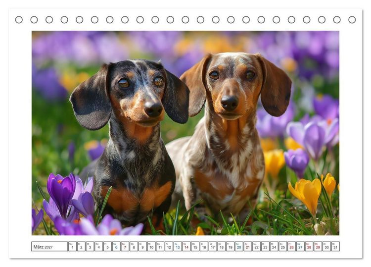 Produktbild: Kleine Beine, gro&szlig;es Gl&uuml;ck (Tischkalender 2027 DIN A5 quer), CALVENDO Monatskalender