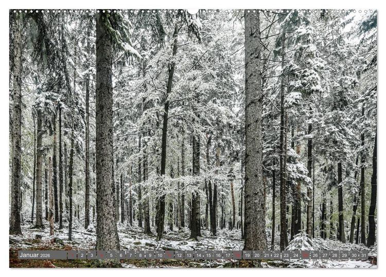 Produktbild: Schwarzwald-Wanderungen (hochwertiger Premium Wandkalender 2026 DIN A2 quer), Kunstdruck in Hochglanz