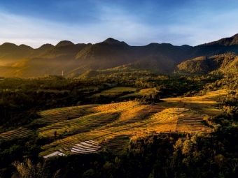 Produktbild: CALVENDO Puzzle Spinnnenetz Reisfelder auf der Insel Flores in Indonesien | 1000 Teile Lege-Gr&ouml;&szlig;e 64x48cm Foto-Puzzle f&uuml;r gl&uuml;ckliche Stunden
