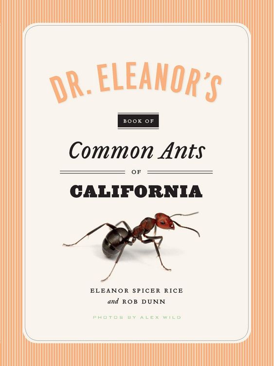 Produktbild: Dr. Eleanor's Book of Common Ants of California