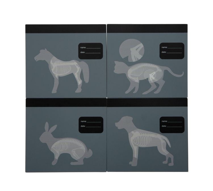 Produktbild: Tierarzt-Tasche mit Hase