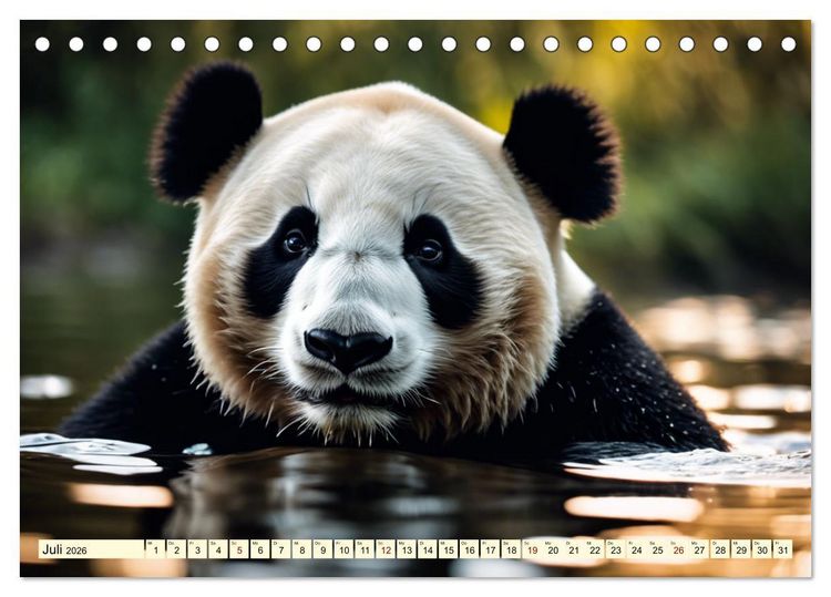 Produktbild: Gro&szlig;er Pandab&auml;r (Tischkalender 2026 DIN A5 quer), CALVENDO Monatskalender