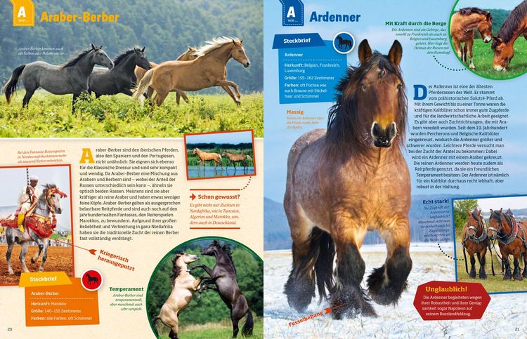 Produktbild: WAS IST WAS Pferde und Ponys