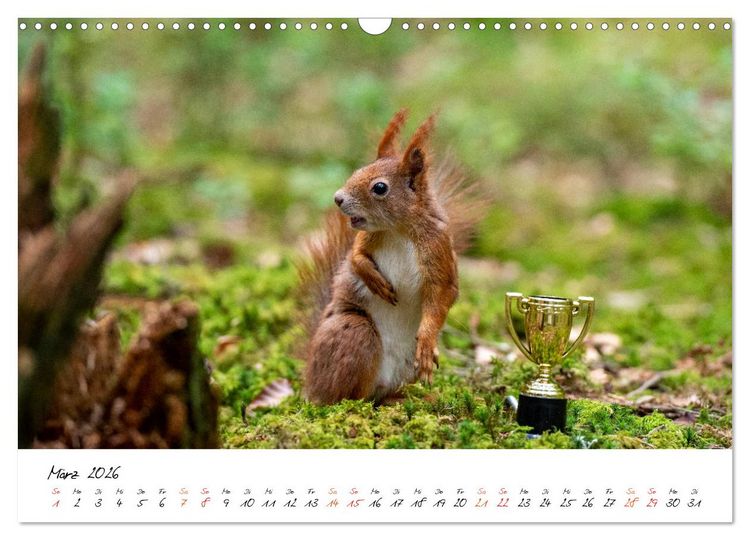 Produktbild: Die Schwarzwald-Eichh&ouml;rnchen (Wandkalender 2026 DIN A3 quer), CALVENDO Monatskalender