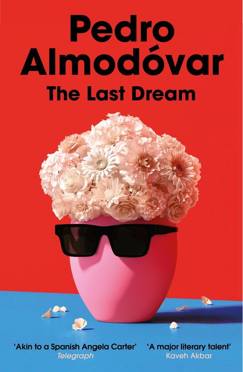 Produktbild: The Last Dream