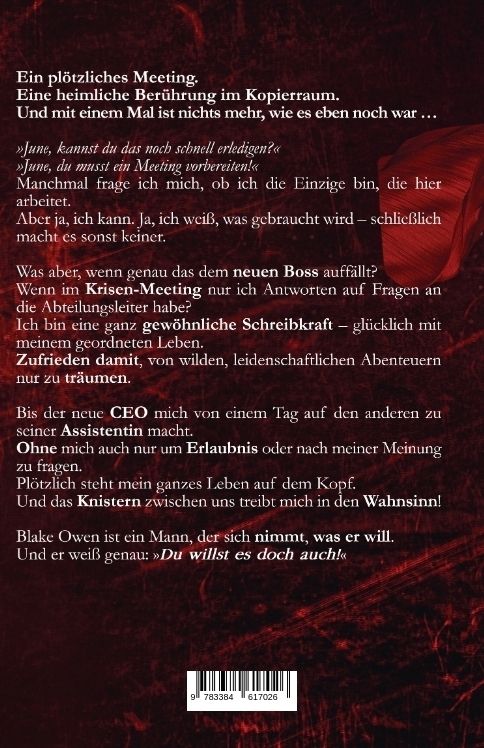 Produktbild: Burning Temptation - Du willst es doch auch