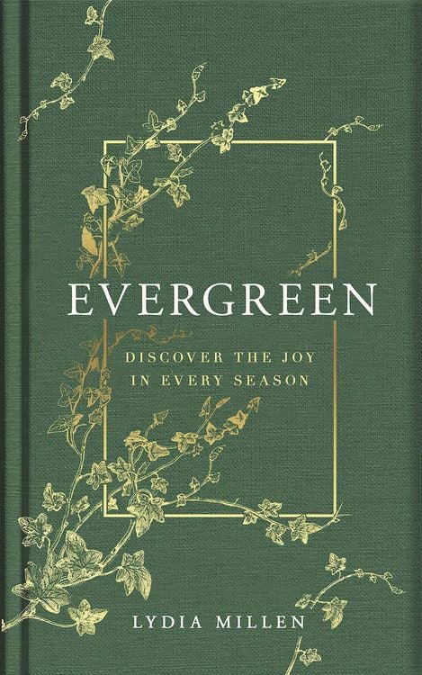 Produktbild: Evergreen