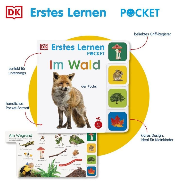 Produktbild: Erstes Lernen Pocket. Im Wald