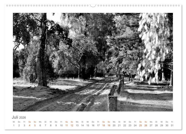 Produktbild: Quo Vadis? W&auml;lder und Wege in der R&ouml;hn, L&uuml;neburger Heide und der Mecklenburgischen Seenplatte (Wandkalender 2026 DIN A2 quer), CALVENDO Monatskalender