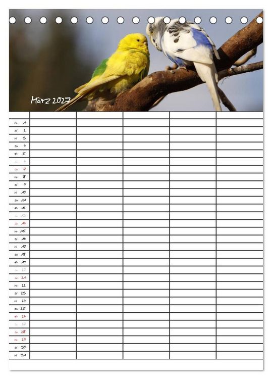 Produktbild: Wellensittiche (Tischkalender 2027 DIN A5 hoch), CALVENDO Monatskalender
