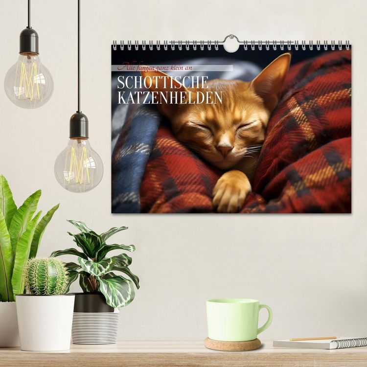 Produktbild: Schottische Katzenhelden (Wandkalender 2026 DIN A4 quer), CALVENDO Monatskalender