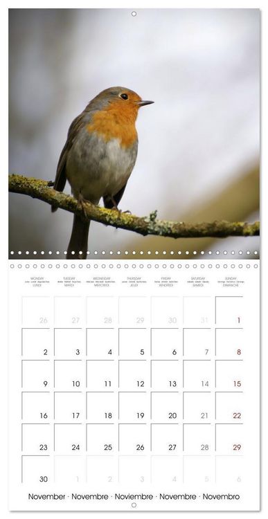 Produktbild: Blt, S: Esp&egrave;ces de Nouvelle Aquitaine (Calendrier mural carr
