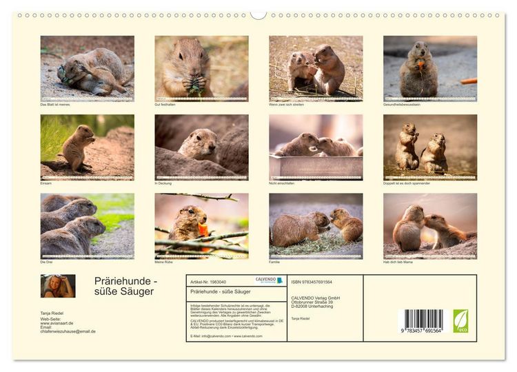 Produktbild: Pr&auml;riehunde - s&uuml;&szlig;e S&auml;uger (hochwertiger Premium Wandkalender 2026 DIN A2 quer), Kunstdruck in Hochglanz