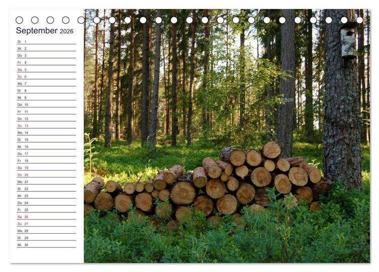 Produktbild: faszinierendes Schweden Smaland (Tischkalender 2026 DIN A5 quer), CALVENDO Monatskalender