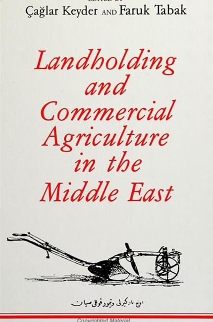 Produktbild: Landholding and Commercial Agriculture in the Middle East