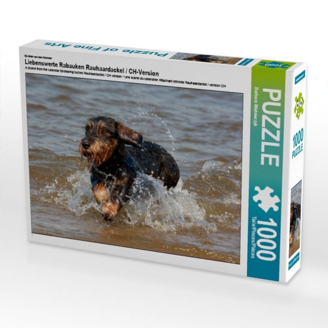 Produktbild: CALVENDO Puzzle Ein Motiv aus dem Kalender Liebenswerte Rabauken Rauhaardackel / CH-Version | 1000 Teile Lege-Gr&ouml;&szlig;e 64x48cm Foto-Puzzle f&uuml;r gl&uuml;ckliche Stunden