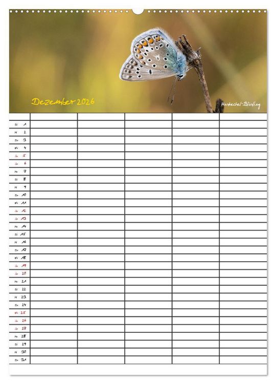 Produktbild: Schmetterlinge in Bayern (hochwertiger Premium Wandkalender 2026 DIN A2 hoch), Kunstdruck in Hochglanz