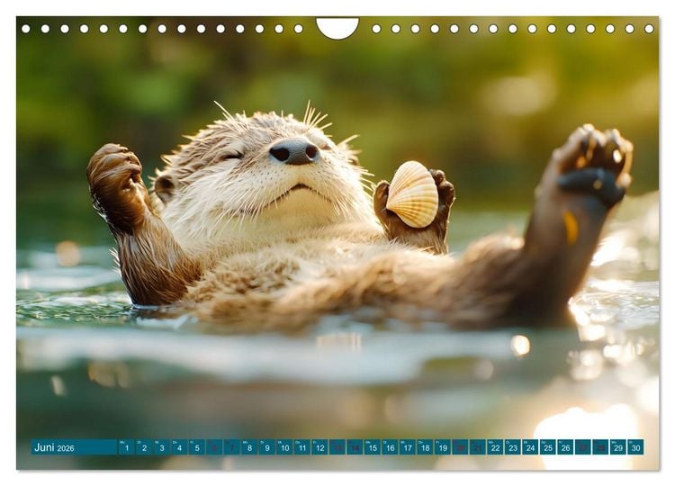 Produktbild: Plitsch, Platsch, tierisch nass (Wandkalender 2026 DIN A4 quer), CALVENDO Monatskalender