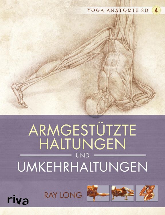 Produktbild: Yoga-Anatomie 3D: Armgest&uuml;tzte Haltungen und Umkehrhaltungen