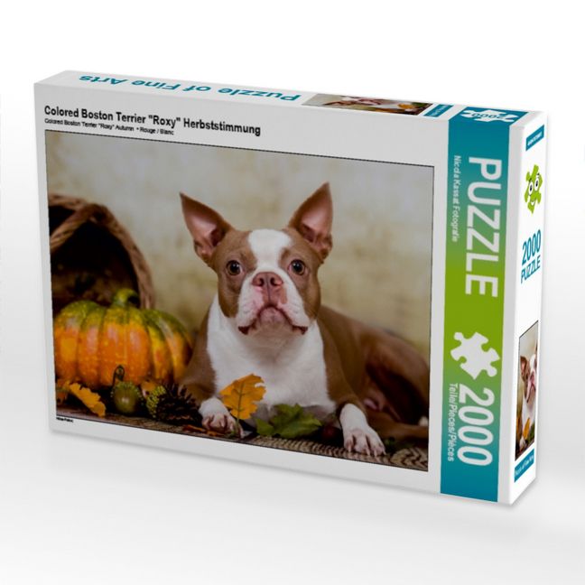 Produktbild: Colored Boston Terrier "Roxy" Herbststimmung (Puzzle)