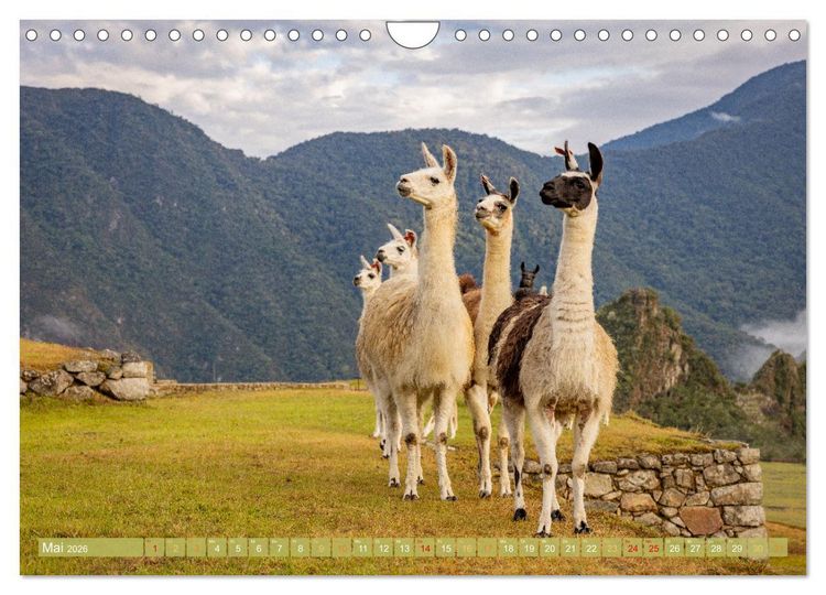 Produktbild: Peru - Bunte Vielfalt von Machu Picchu bis zur Atacama W&uuml;ste (Wandkalender 2026 DIN A4 quer), CALVENDO Monatskalender
