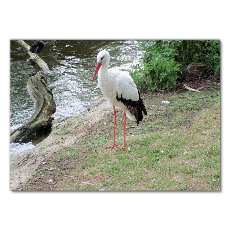 Produktbild: Lais Puzzle Storch 500 Teile