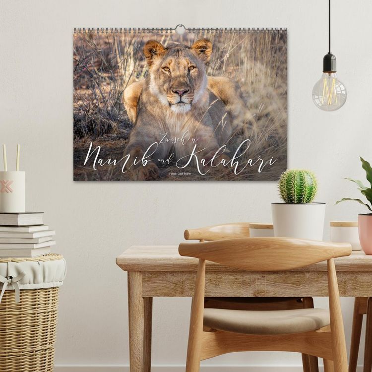 Produktbild: Zwischen Namib und Kalahari (Wandkalender 2026 DIN A3 quer), CALVENDO Monatskalender