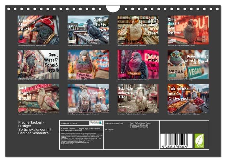 Produktbild: Freche Tauben - Lustiger Spr&uuml;chekalender mit Berliner Schnautze (Wandkalender 2026 DIN A4 quer), CALVENDO Monatskalender