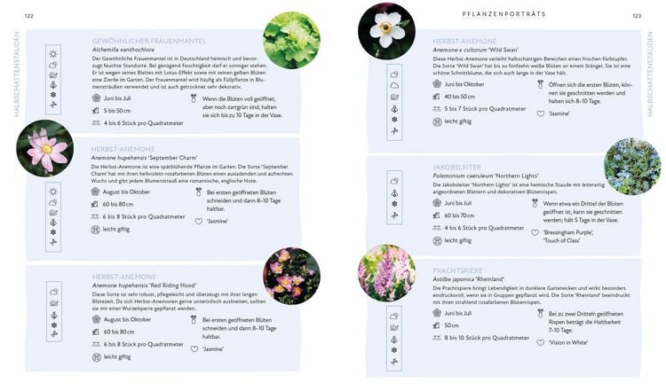 Produktbild: Bl&uuml;tenpracht und Erntegl&uuml;ck &ndash; Dein Weg zum Traumgarten