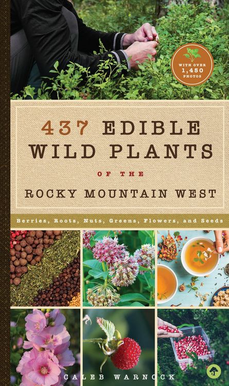 Produktbild: 437 Edible Wild Plants of the Rocky Mountain West