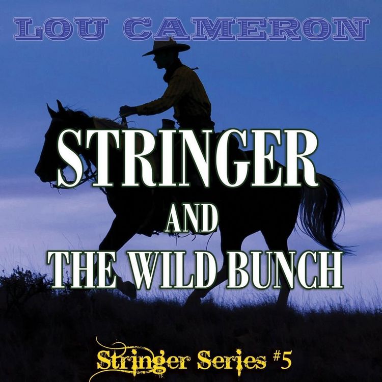 Produktbild: Stringer and the Wild Bunch