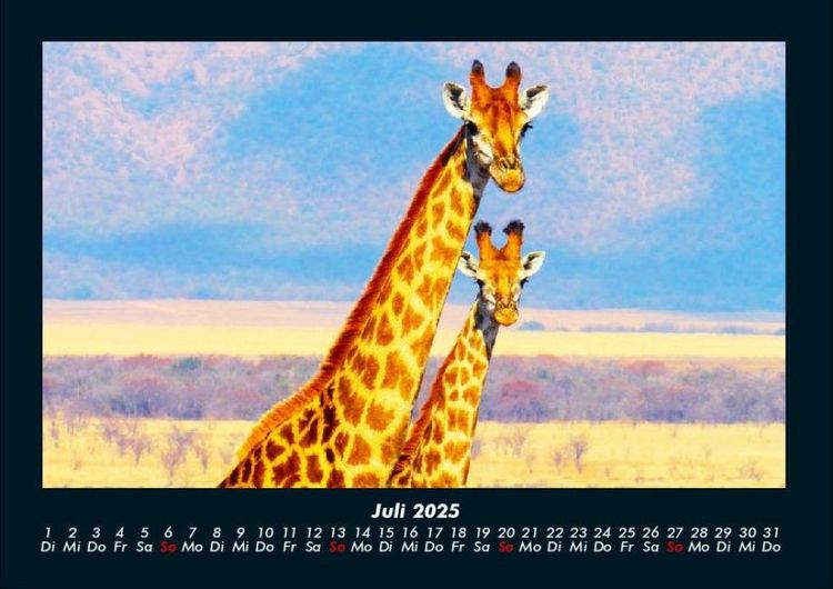 Produktbild: Giraffen 2025 Fotokalender DIN A4