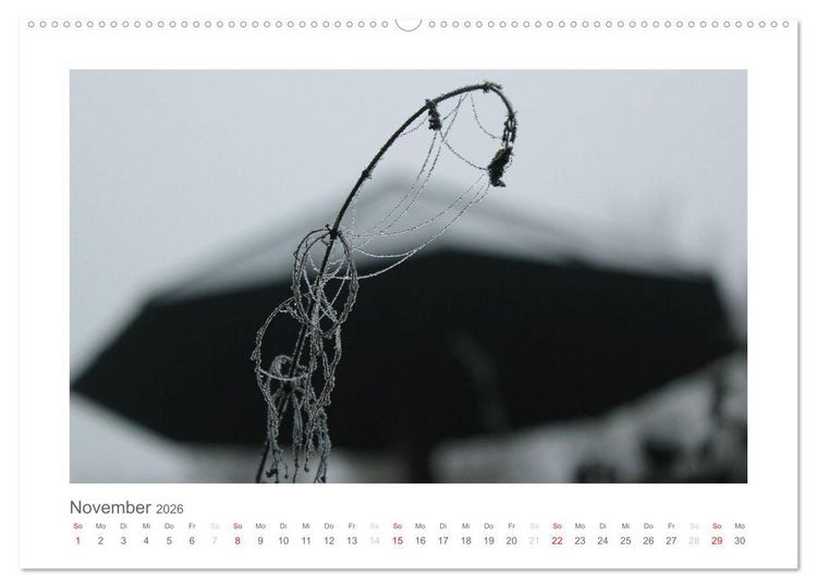 Produktbild: einfach schwarz-wei&szlig; (Wandkalender 2026 DIN A2 quer), CALVENDO Monatskalender