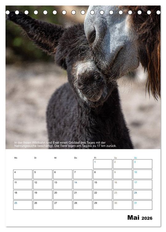Produktbild: Liebenswerte Landtiere (Tischkalender 2026 DIN A5 hoch), CALVENDO Monatskalender