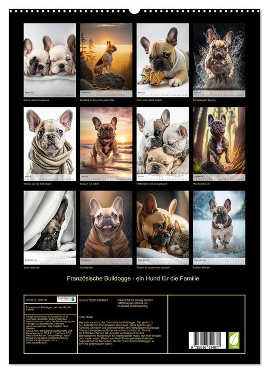 Produktbild: Franz&ouml;sische Bulldogge - ein Hund f&uuml;r die Familie (hochwertiger Premium Wandkalender 2026 DIN A2 hoch), Kunstdruck in Hochglanz