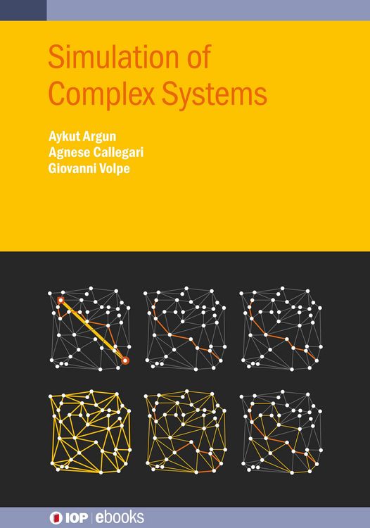 Produktbild: Simulation of Complex Systems