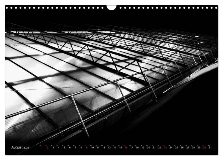 Produktbild: Struktur in Stahl (Wandkalender 2026 DIN A3 quer), CALVENDO Monatskalender