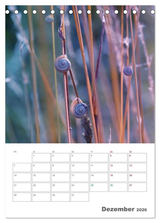 Produktbild: Helden in der Natur (Tischkalender 2026 DIN A5 hoch), CALVENDO Monatskalender