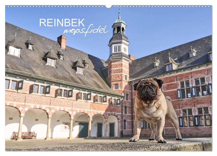 Produktbild: Reinbek mopsfidel (Wandkalender 2026 DIN A2 quer), CALVENDO Monatskalender