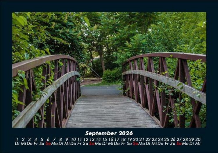 Produktbild: Waldzauber 2026 Fotokalender DIN A5