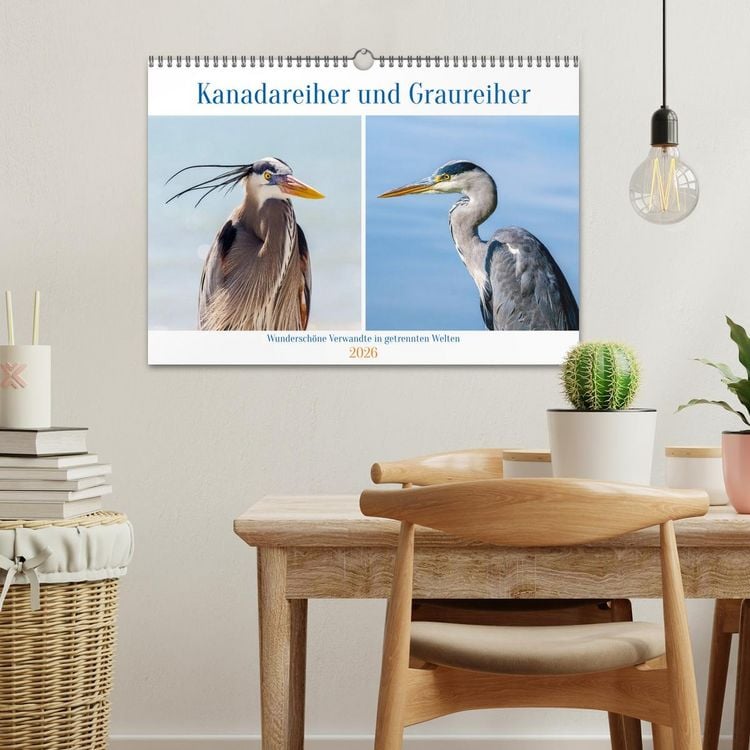 Produktbild: Kanadareiher und Graureiher (Wandkalender 2026 DIN A3 quer), CALVENDO Monatskalender