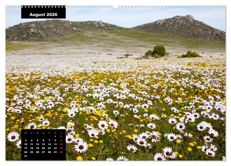 Produktbild: Blickpunkte des S&uuml;dlichen Afrika (hochwertiger Premium Wandkalender 2026 DIN A2 quer), Kunstdruck in Hochglanz