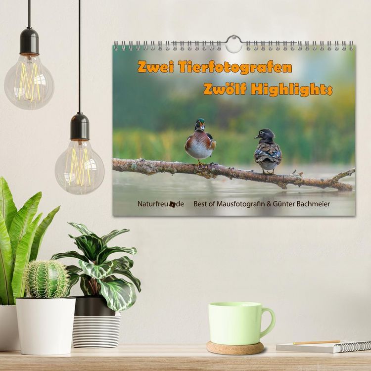 Produktbild: Zwei Tierfotografen Zw&ouml;lf Highlights (Wandkalender 2026 DIN A4 quer), CALVENDO Monatskalender
